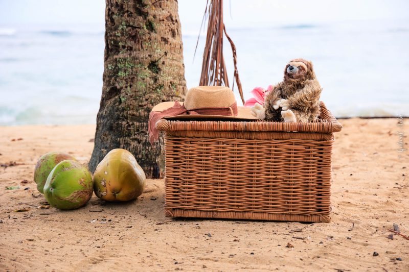 Costa Rica Beach Weddings in Puerto Viejo