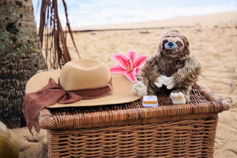 Costa Rica Beach Weddings in Puerto Viejo