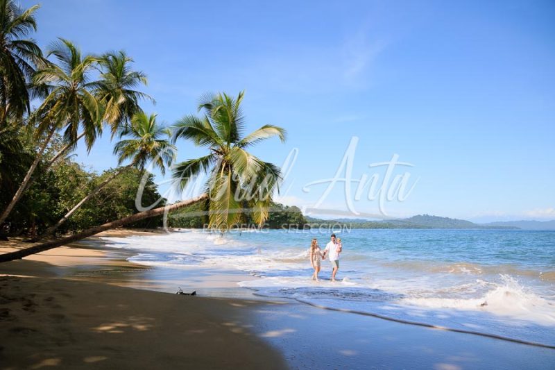Costa Rica Family Portrait Puerto Viejo Punta Uva Beach