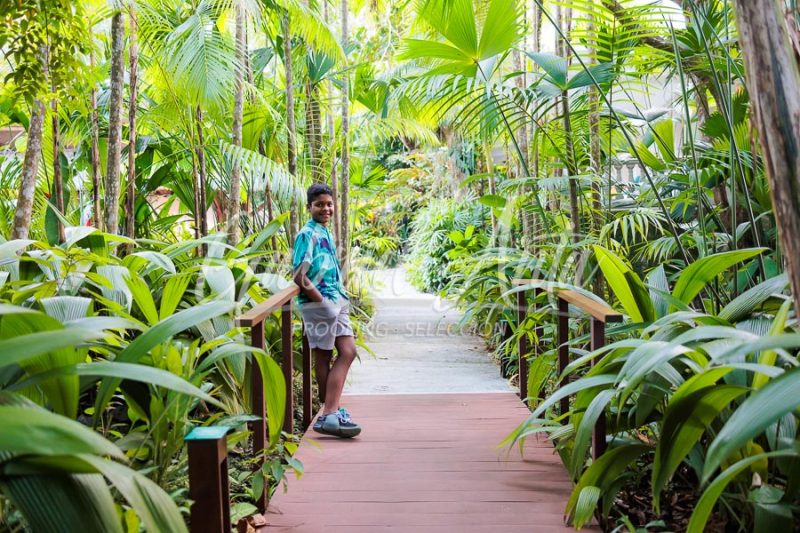 Family Photo Shoot Costa Rica Puerto Viejo