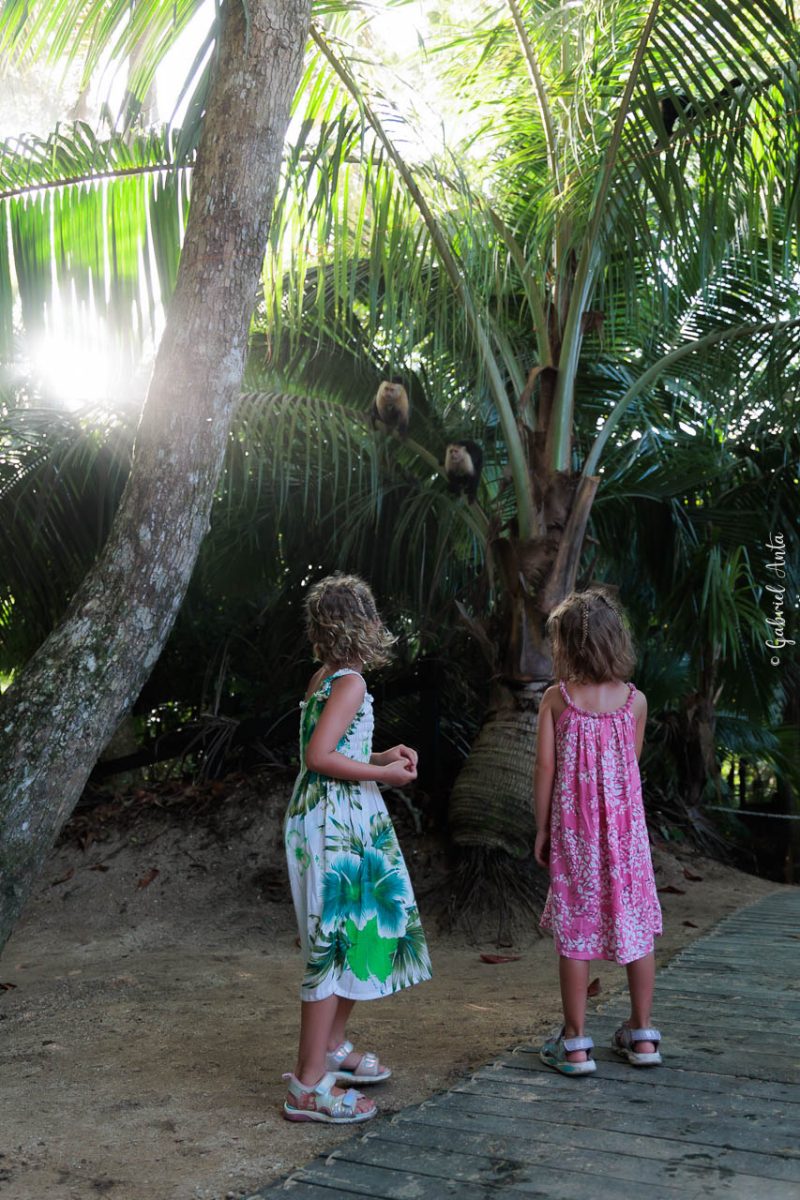 Family Photographer in Puerto Viejo, Costa Rica – Beach & Jungle Sessions