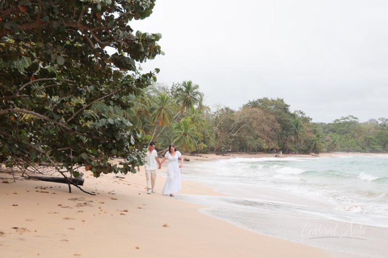 Propuesta de Matrimonio - Taylor & Joselyn