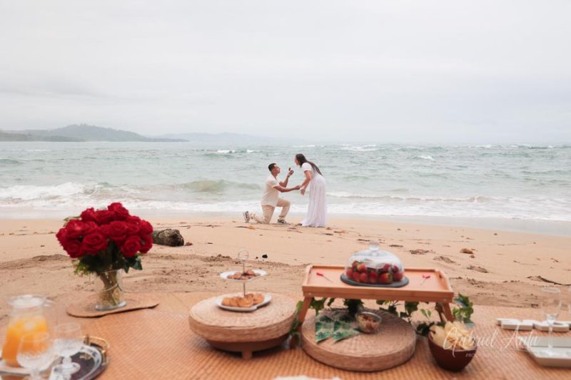 Propuesta de Matrimonio - Taylor & Joselyn