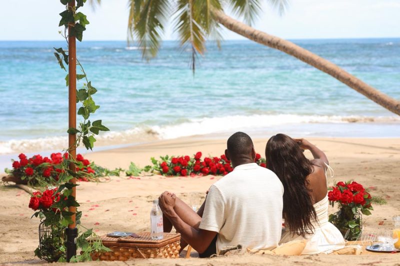 Marriage Proposal in Costa Rica