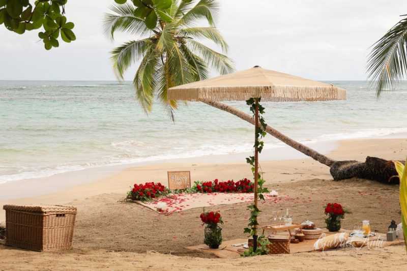 Marriage Proposal in Costa Rica