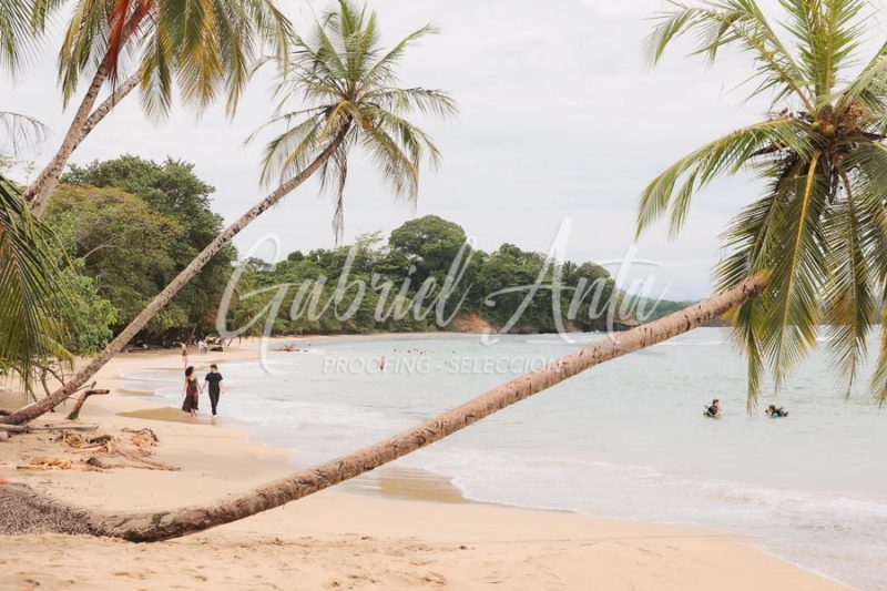 Marriage Proposal in Costa Rica | Punta Uva Beach, Puerto Viejo